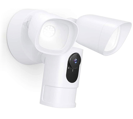 floodlight - Security Camera Santa Cruz